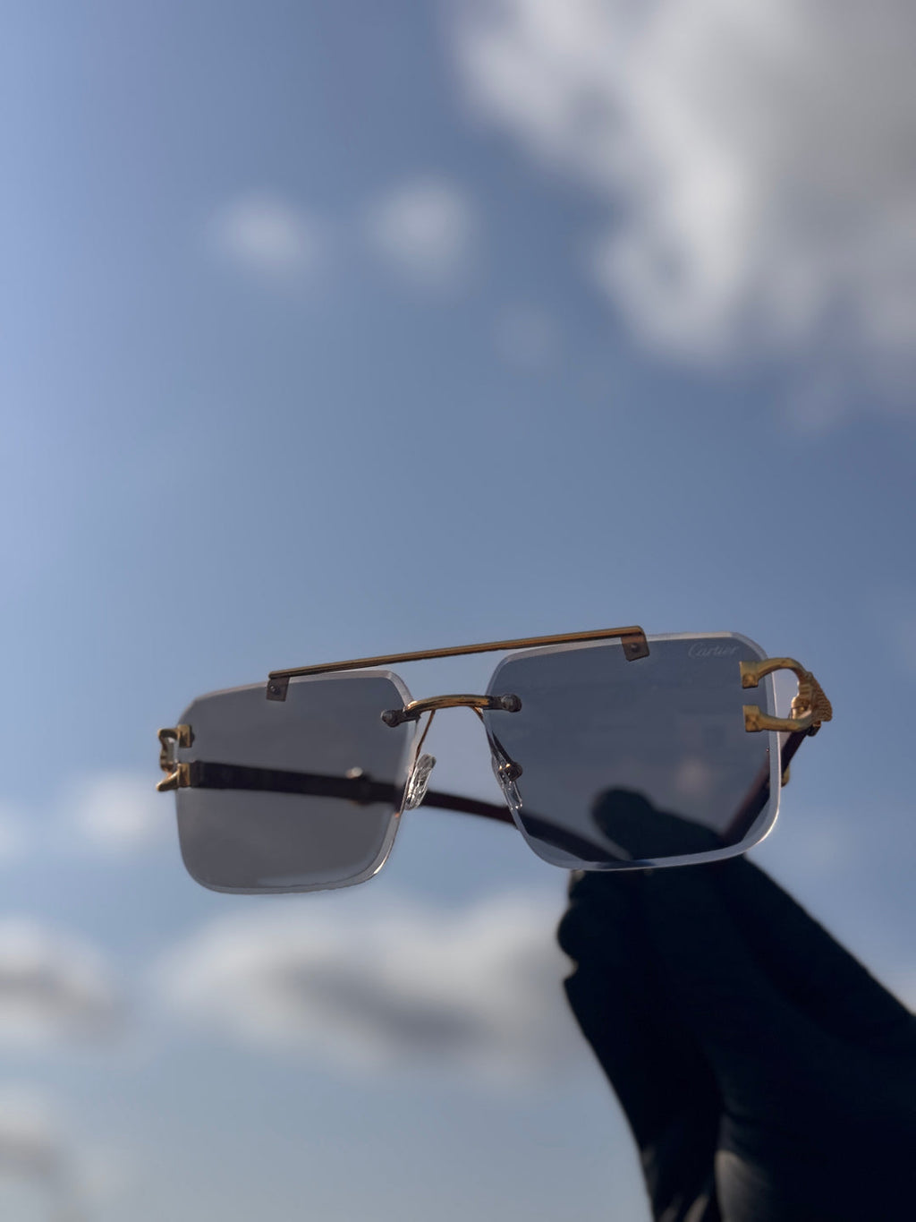 Solar Cheetah Glasses - Elegancy Pk