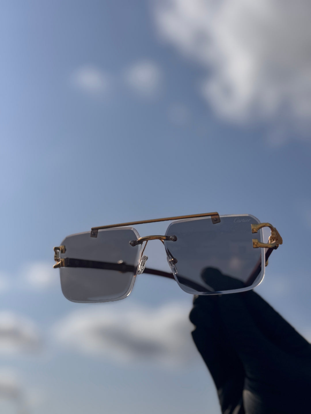 Solar Cheetah Glasses - Elegancy Pk