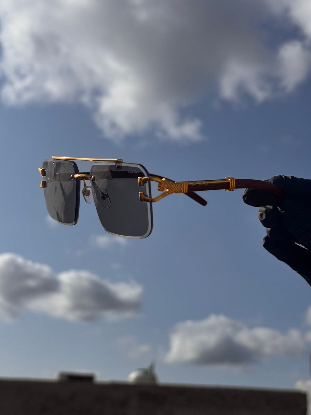 Solar Cheetah Glasses - Elegancy Pk